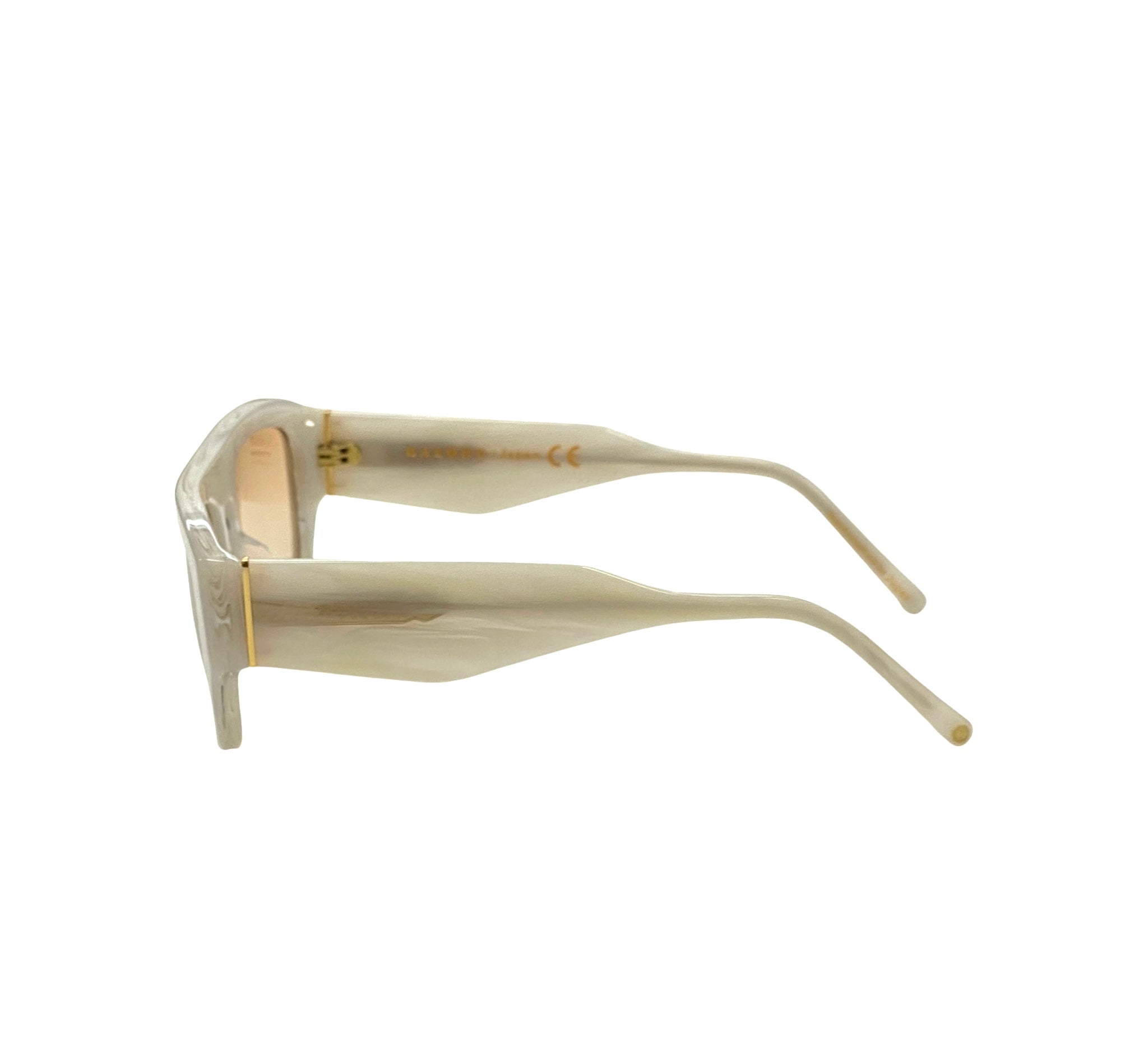 Trendy Tinted Sunglasses