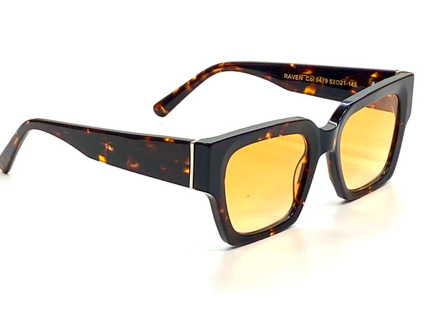 Clear Vision Glasses- Stylish Sunglass Frames- RAVEN Clarity Shades- men's sunglasses